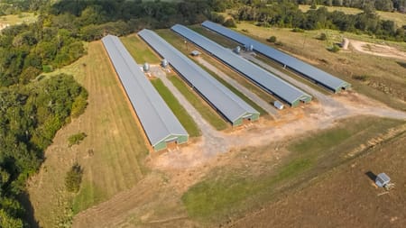 Donie, TX 75838 Limestone County
