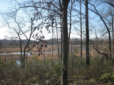 Ben Wheeler, TX 75754 Van Zandt County