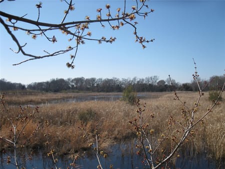 Ben Wheeler, TX 75754 Van Zandt County