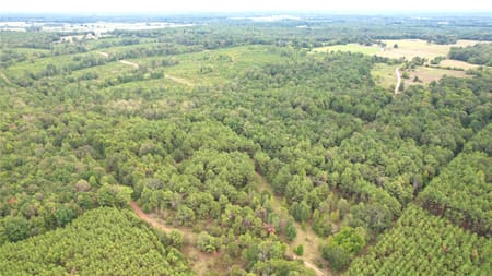 Carthage, TX 75633 Panola County