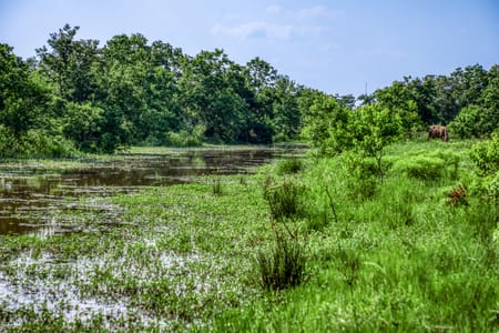 Waller, TX 77484 Waller County