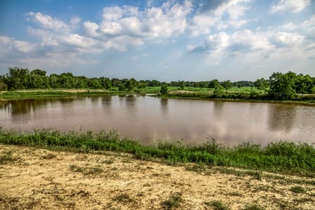 Waller, TX 77484 Waller County