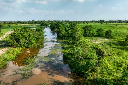 Waller, TX 77484 Waller County