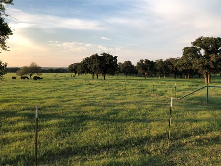 Cleburne, TX 76031 Johnson County