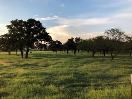 Cleburne, TX 76031 Johnson County