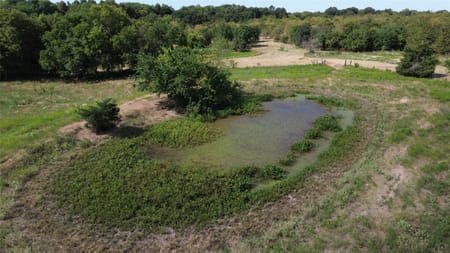 Ben Franklin, TX 75415 Delta County