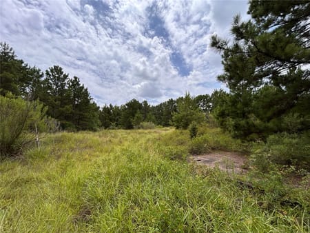 Conroe, TX 77385 Montgomery County