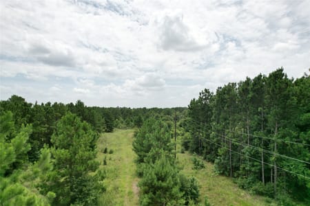 Conroe, TX 77385 Montgomery County