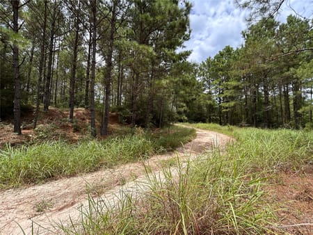 Conroe, TX 77385 Montgomery County