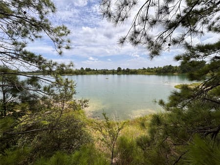Conroe, TX 77385 Montgomery County