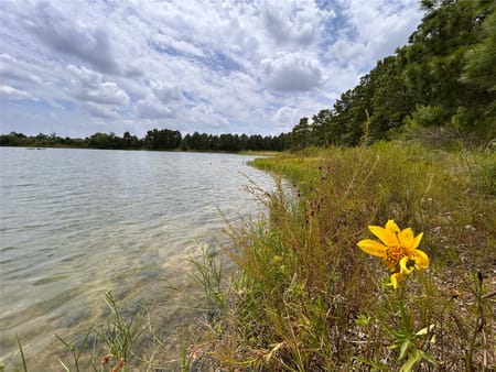 Conroe, TX 77385 Montgomery County