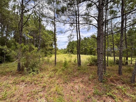 Conroe, TX 77385 Montgomery County