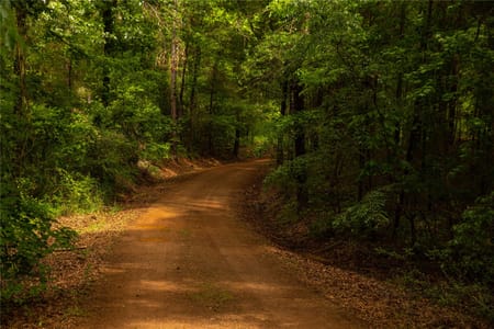 Linden, TX 75563 Cass County