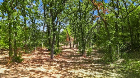 Keller, TX 76248 Tarrant County