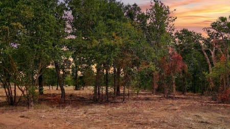 Keller, TX 76248 Tarrant County