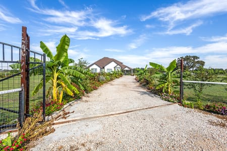Wills Point, TX 75169 Van Zandt County