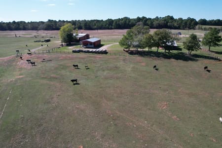 Cushing, TX 75760 Rusk County