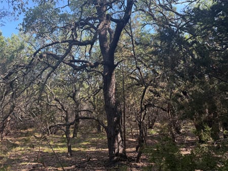 Lometa, TX 76853 Lampasas County