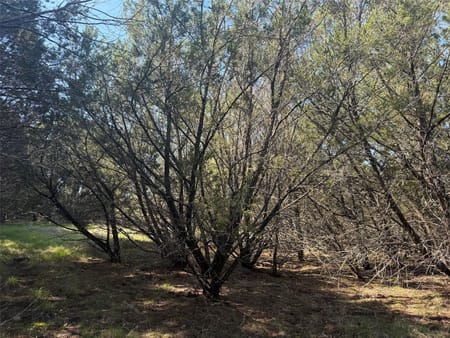 Lometa, TX 76853 Lampasas County