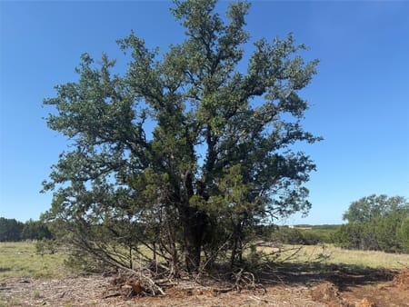 Lometa, TX 76853 Lampasas County