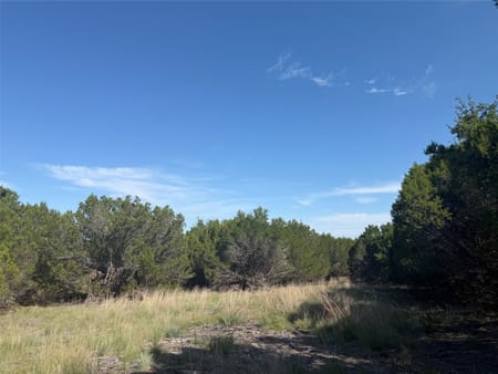Lometa, TX 76853 Lampasas County
