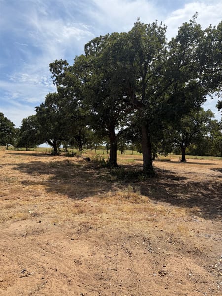 Bowie, TX 76230 Montague County