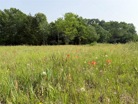Cumby, TX 75453 Hopkins County