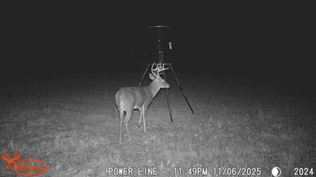 Cumby, TX 75453 Hopkins County