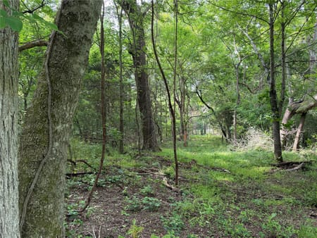 Cumby, TX 75453 Hopkins County
