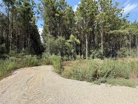 Sour Lake, TX 77659 Hardin County