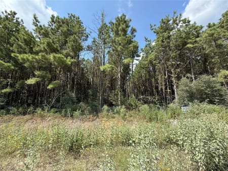 Sour Lake, TX 77659 Hardin County