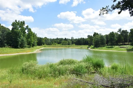 Palestine, TX 75803 Anderson County