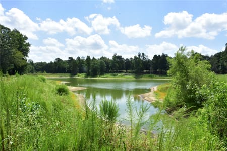Palestine, TX 75803 Anderson County