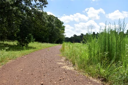 Palestine, TX 75803 Anderson County