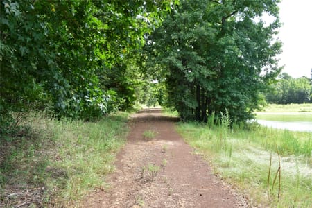 Palestine, TX 75803 Anderson County