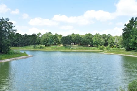 Palestine, TX 75803 Anderson County