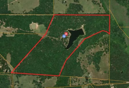 Palestine, TX 75803 Anderson County