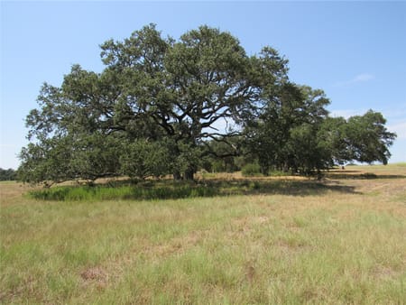 Brenham, TX 77833 Washington County