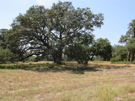 Brenham, TX 77833 Washington County