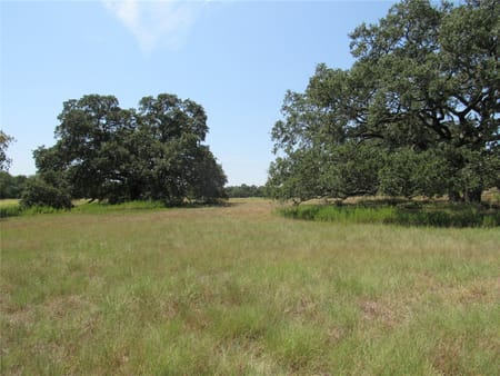 Brenham, TX 77833 Washington County
