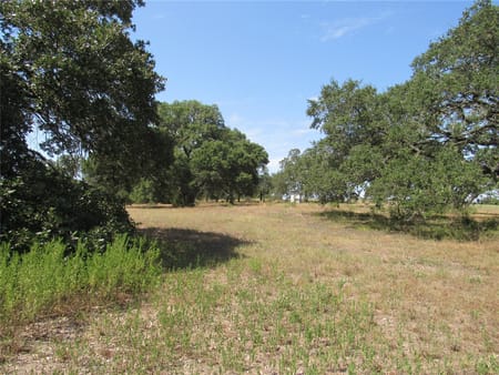 Brenham, TX 77833 Washington County