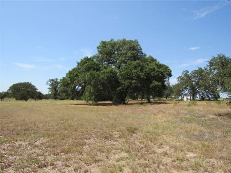 Brenham, TX 77833 Washington County