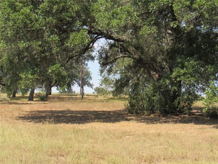 Brenham, TX 77833 Washington County