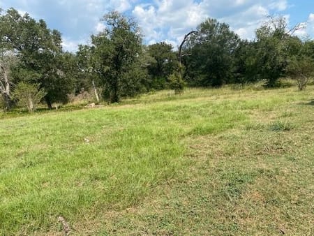 Midway, TX 75852 Madison County