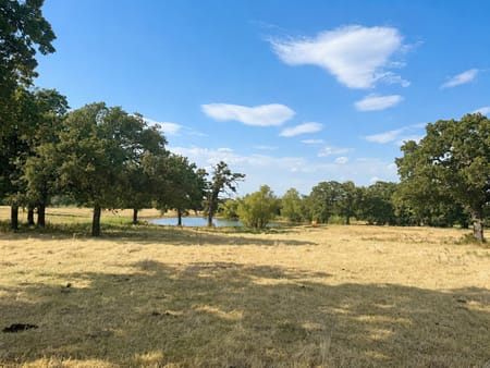 Bowie, TX 76230 Montague County