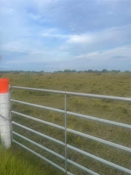 Blessing, TX 77419 Matagorda County