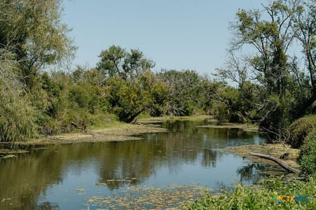 Tivoli, TX 77990 Calhoun County