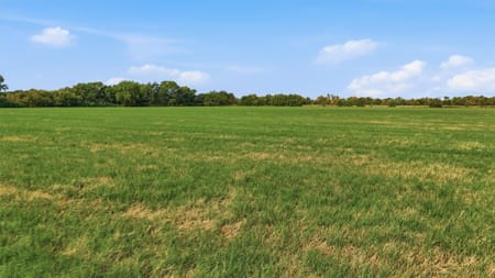 Whitesboro, TX 76273 Grayson County