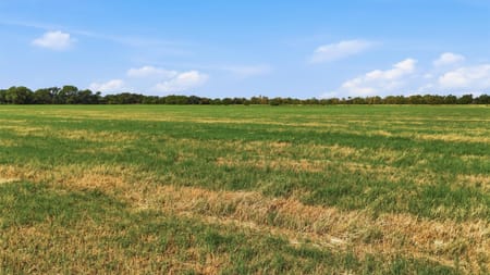 Whitesboro, TX 76273 Grayson County