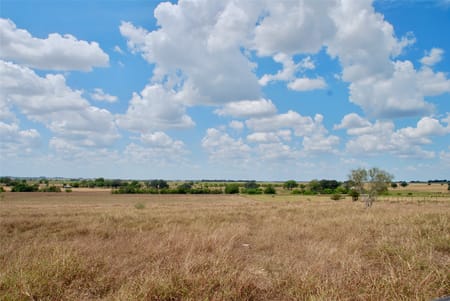Shiner, TX 77984 Lavaca County